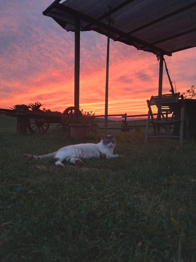 Colle MassariEnjoy Sunset别墅 外观 照片